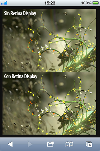 retina