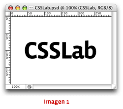 Imagen 1: CSSLab