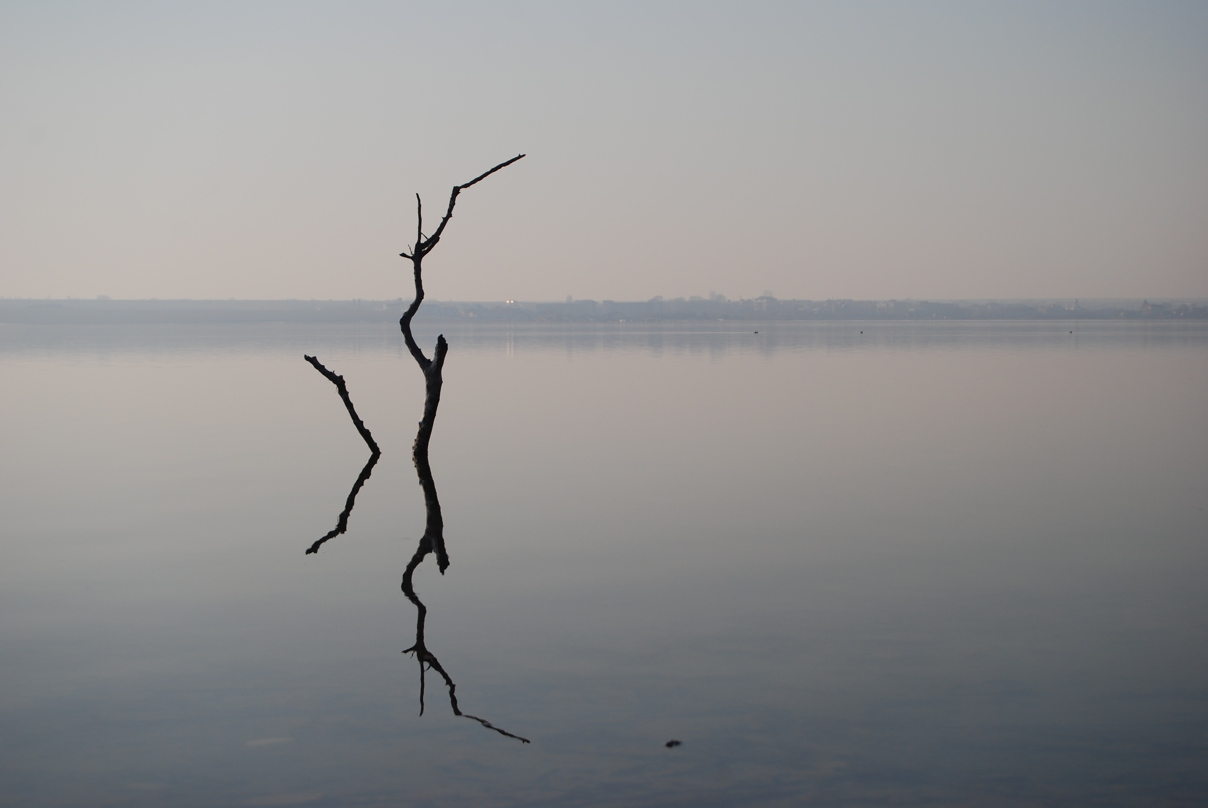 Cover Image Reflejo horizontal y vertical con CSS3